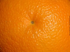 arancione.jpg